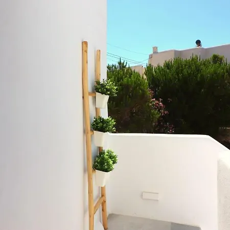 The Nine Graces - Apartements * Agia Anna (Mykonos)